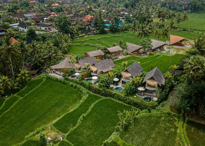 The Pulu By Genuinehost *